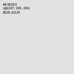 #E3E2E0 - Bon Jour Color Image